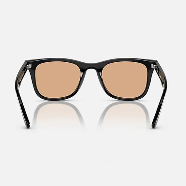 Kính Mát Rayban Sunglasses RB4391D 601/93 65-18 Màu Nâu/Đen