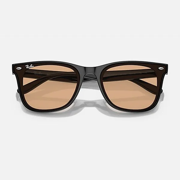 Kính Mát Rayban Sunglasses RB4391D 601/93 65-18 Màu Nâu/Đen