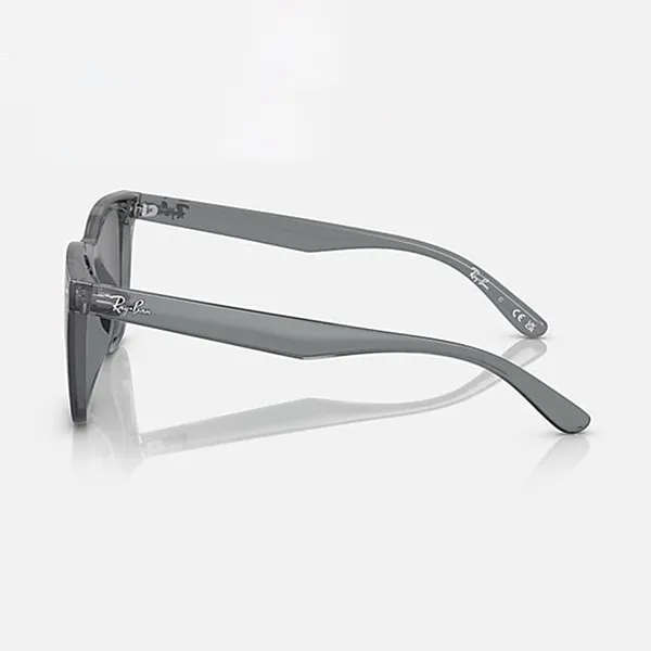Kính Mát Rayban Sunglasses RB4391D 645087 65-18 Màu Xám