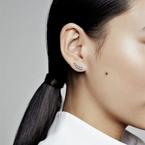 Khuyên Tai Nữ Pandora Moments Silver Earring 297730 Màu Bạc
