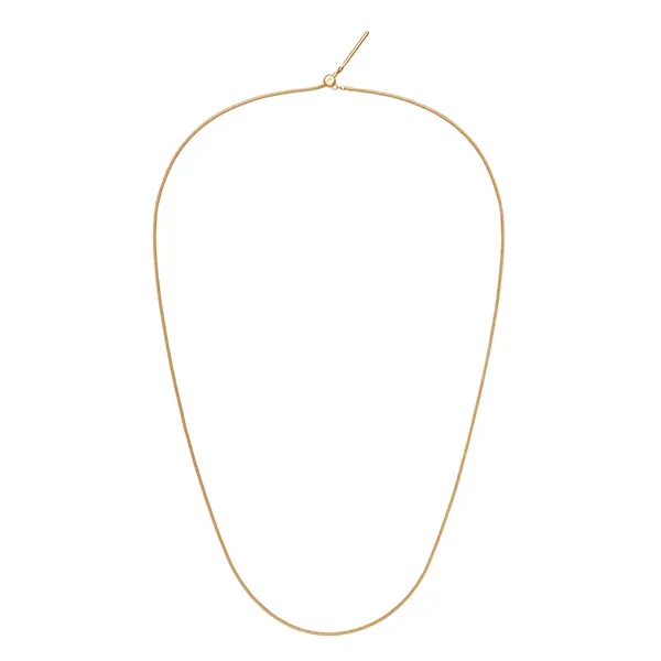 Dây Chuyền Nữ Daniel Wellington DW00400399 Charm Snake Màu Vàng (<50cm)