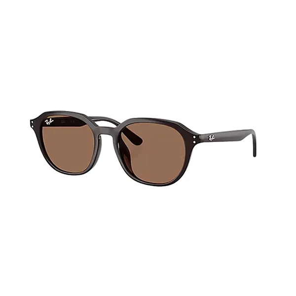 Kính Mát Unisex Rayban 0RB4459D 62317354 Màu Nâu