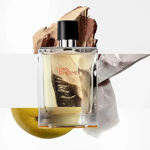 Nước Hoa Nam Hermès Terre D'Hermès Eau De Toilette (EDT) 100ml