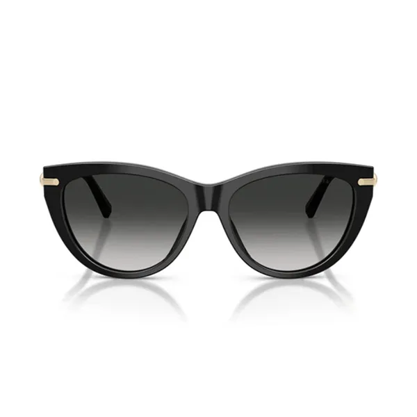 Kính Mát Nữ Tiffany & Co. 0TF4253F 80013C55 Màu Xám/Gold