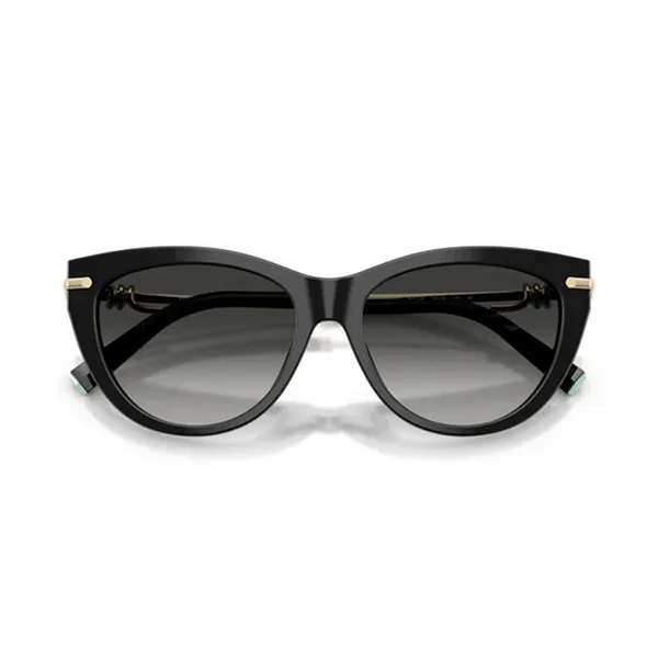 Kính Mát Nữ Tiffany & Co. 0TF4253F 80013C55 Màu Xám/Gold