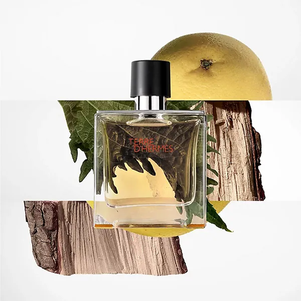 Nước Hoa Nam Hermès Terre D’Hermes Parfum 75ml