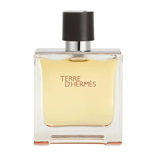 Nước Hoa Nam Hermès Terre D’Hermes Parfum 75ml