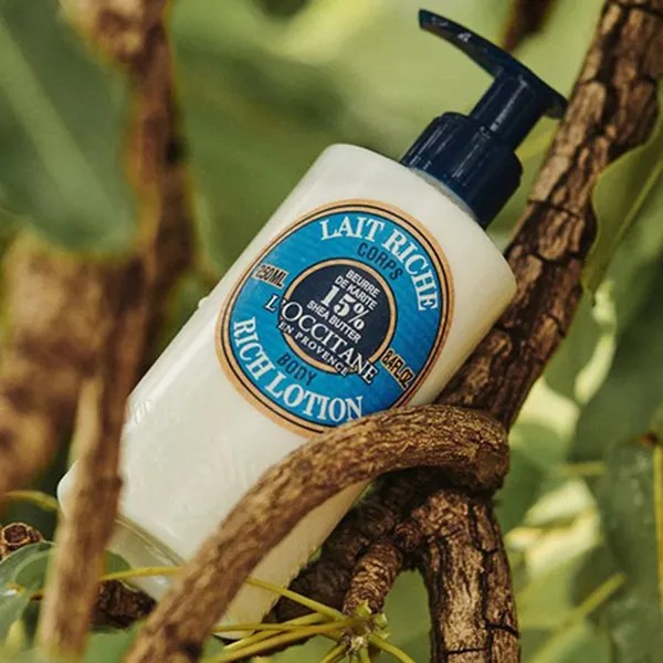 Sữa Dưỡng Thể L'Occitane Shea Butter 15% Rich Body Lotion 250ml