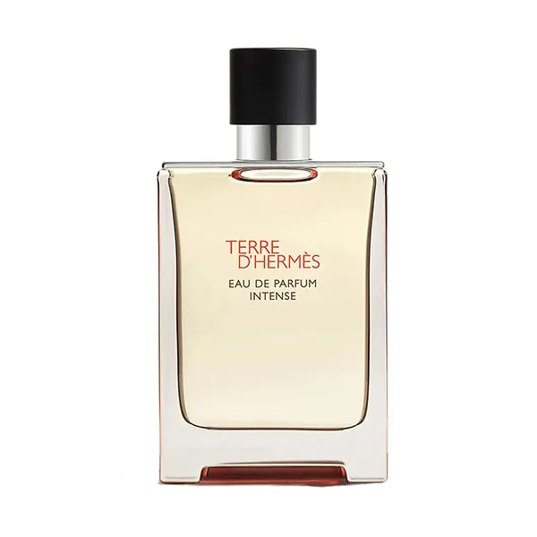 Nước Hoa Nam Hermès Terre D'Hermes Intense EDP 100ml