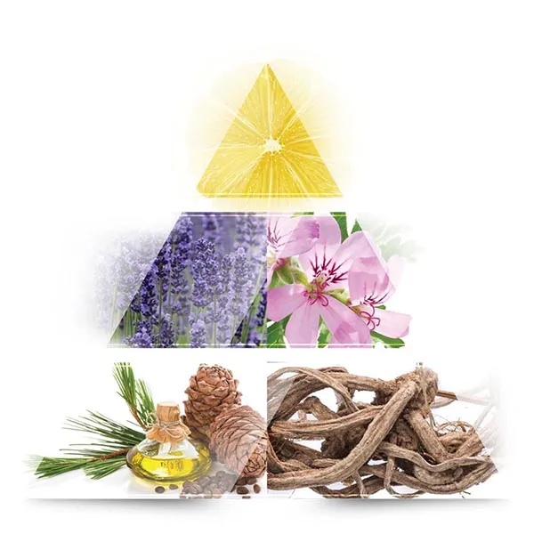 Nước Hoa Nam La Rive Ironstone EDT 100ml