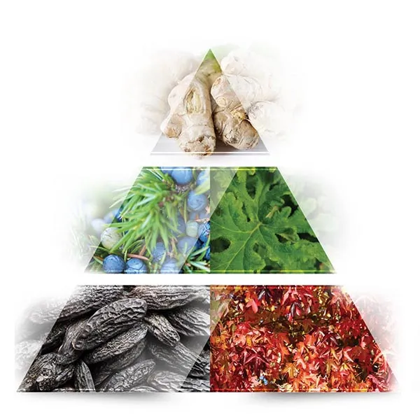 Nước Hoa Nam La Rive Move On EDT 100ml