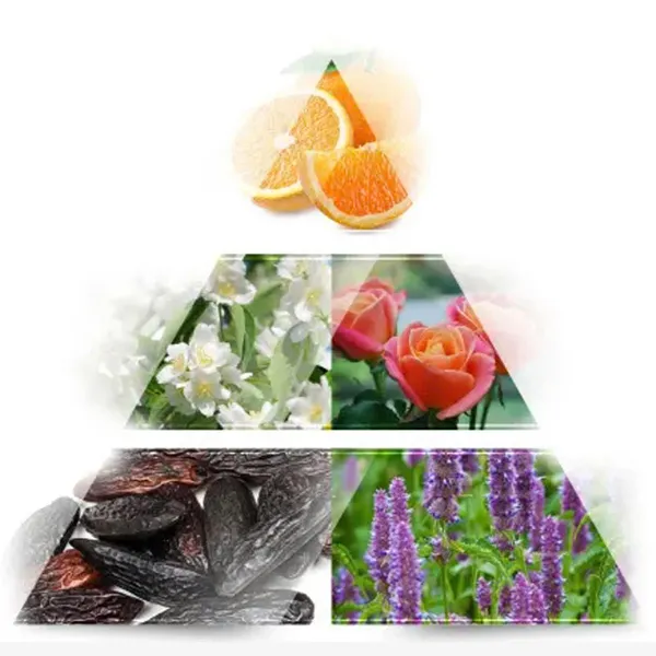 Nước Hoa Nữ La Rive Isabel Eau De Parfum 100ml