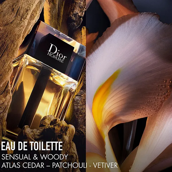 Set Nước Hoa Nam Dior Homme EDT Set Holiday Limited Edition (100ml + 10ml)