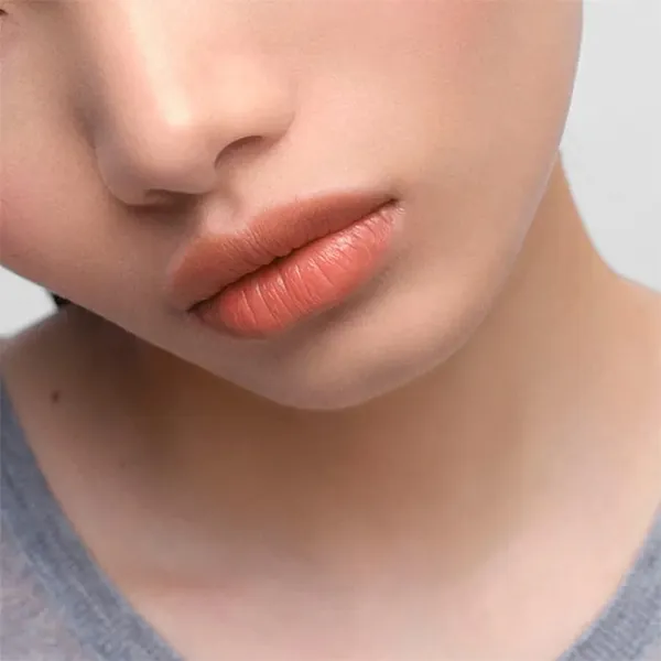 Son Lì Monochrome Soft Matte Brown Limited Edition Lipstick B101 Tiepolo Màu Hồng Cam Đất