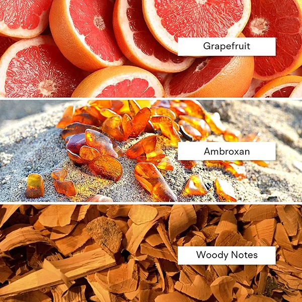 Nước Hoa Unisex Alexandria Fragrances Black Panther Extrait De Parfum 100ml