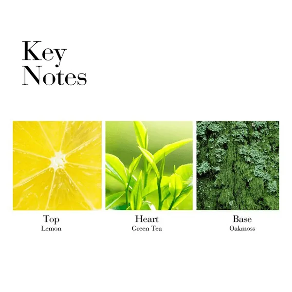 Nước Hoa Nữ Elizabeth Arden Green Tea Spray 30ml