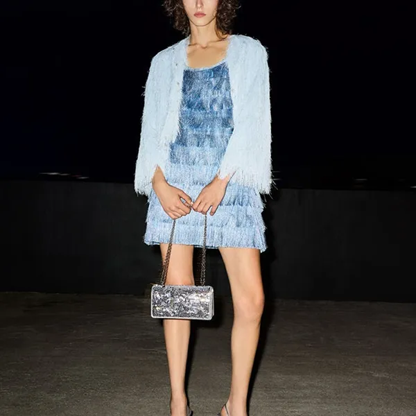 Ví Nữ Charles & Keith CNK Paffuto Sequinned Wallet On Chain - Silver CK6-10680924-A_SILVER_XS Màu Bạc