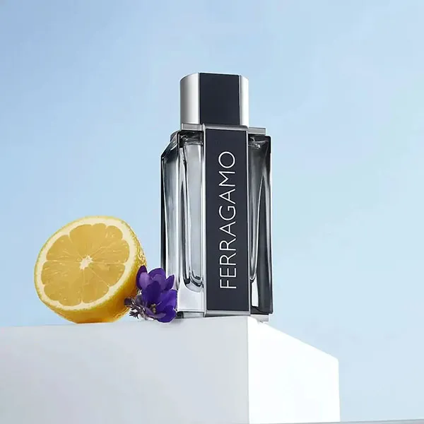 Nước Hoa Nam Salvatore Ferragamo Pour Homme EDT 100ml