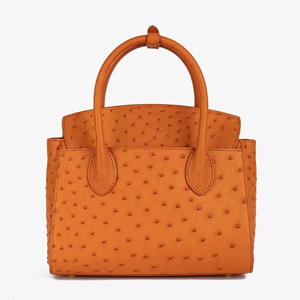 Túi Xách Tay Nữ Giovanni Handle Bag DLD0210-1 Màu Cam