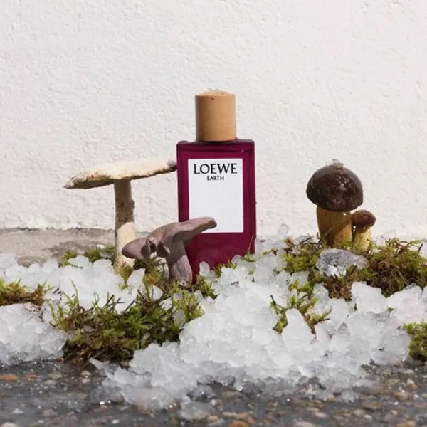 Nước Hoa Unisex Loewe Earth EDP Spray 100ml