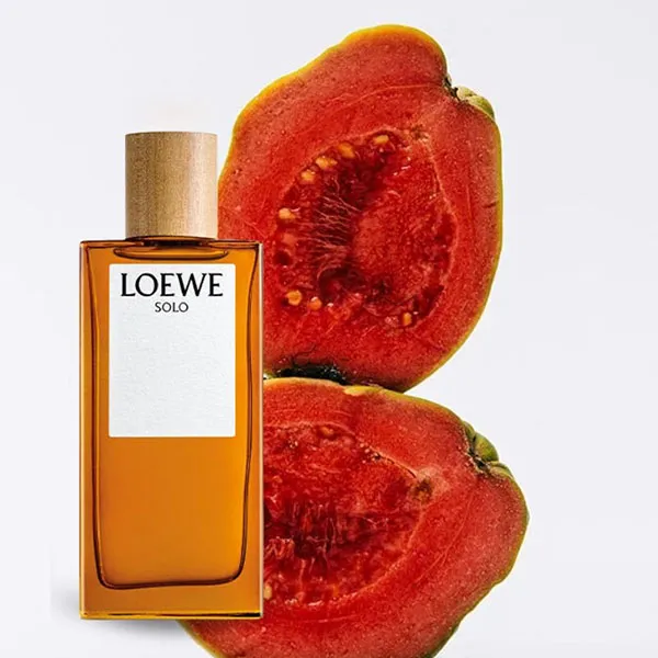 Nước Hoa Nam Loewe Solo EDT 100ml