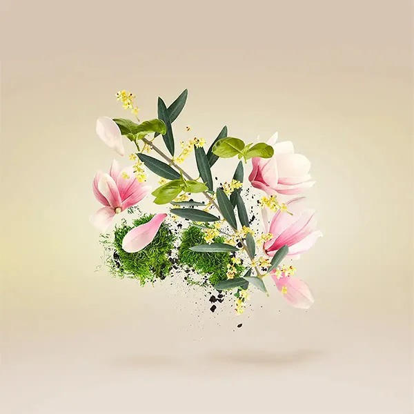Nước Hoa Nữ Xerjoff Fiore D’Ulivo EDP 100ml