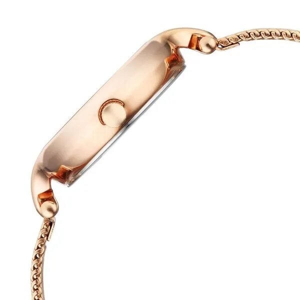 Đồng Hồ Nữ Titan Women's Raga Watch Stainless Steel Strap Pink Dial 95268WM01 Màu Vàng Hồng