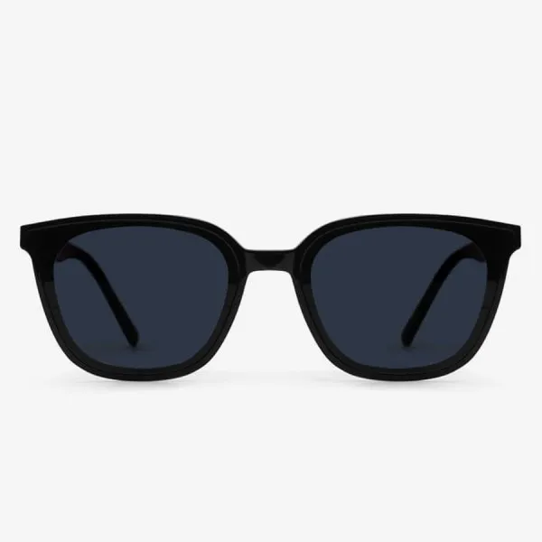 Kính Mát Rieti Aldo Black Sunglasses RT2013 C2 Màu Đen/Xanh