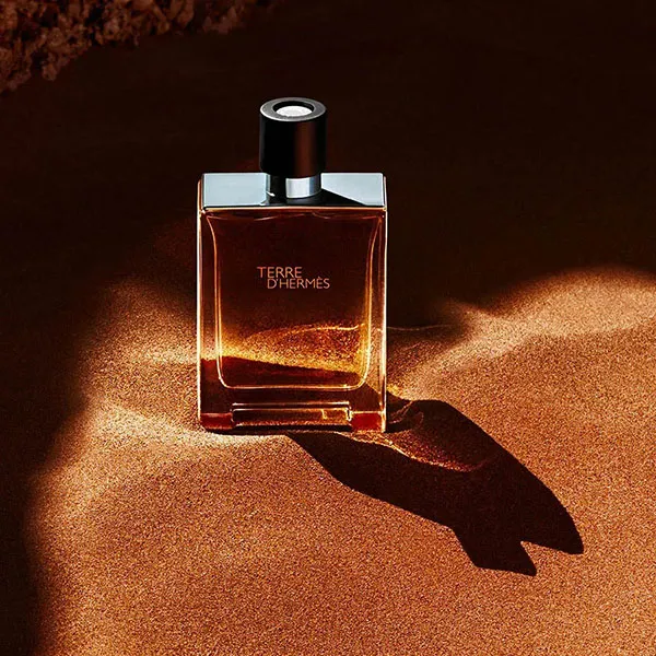Nước Hoa Nam Hermès Terre D'Hermès Eau De Toilette Spray 100ml