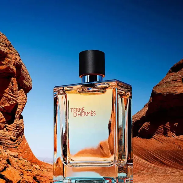 Nước Hoa Nam Hermès Terre D'Hermès Eau De Toilette Spray 100ml