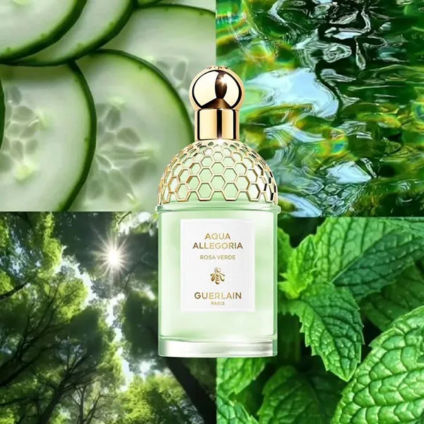 Nước Hoa Unisex Guerlain Aqua Allegoria Rosa Verde Eau De Toilette 200ml
