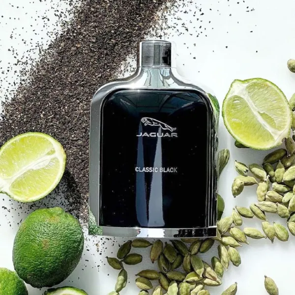 Nước Hoa Jaguar Classic Black Eau De Toilette (EDT) 100ml