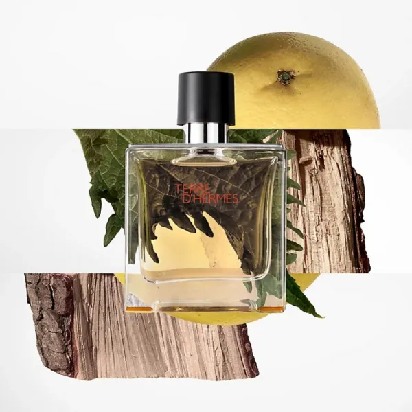 Nước Hoa Nam Hermès Terre D'Hermes Parfum 75ml