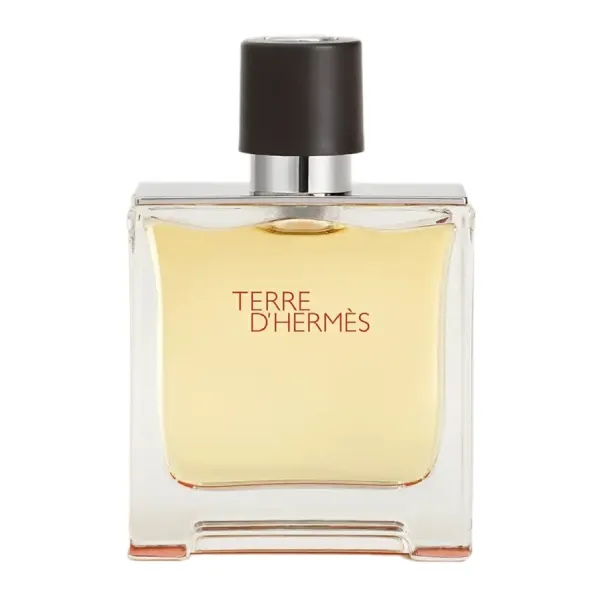 Nước Hoa Nam Hermès Terre D'Hermes Parfum 75ml