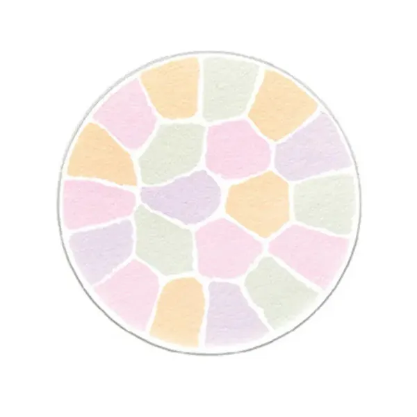 Phấn Phủ Dạng Nén Albion Elegance La Poudre Haute Nuance Mini Tone 01 8.8g