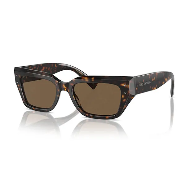 Kính Mát Nữ Dolce & Gabbana D&G DG4462 50273 Màu Havana Đậm