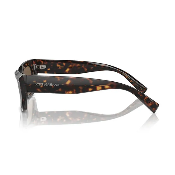 Kính Mát Nữ Dolce & Gabbana D&G DG4462 50273 Màu Havana Đậm