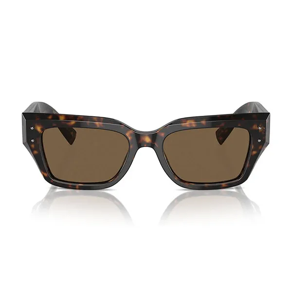 Kính Mát Nữ Dolce & Gabbana D&G DG4462 50273 Màu Havana Đậm