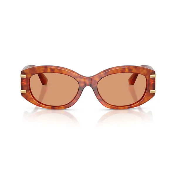 Kính Mát Nữ Dolce & Gabbana D&G DG4502 34527 Màu Nâu Cam