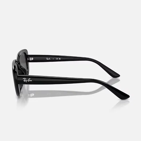 Kính Mát Unisex Rayban Black Dark Grey 0RB4421D 667787 Màu Đen Xám