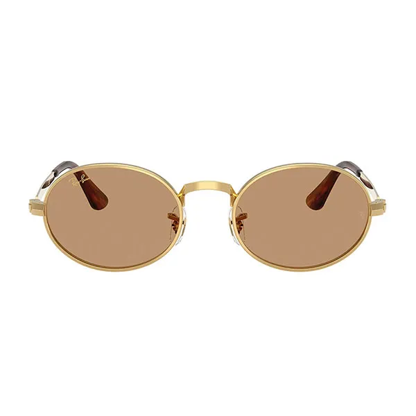 Kính Mát Unisex Rayban Sunglasses Arista Gold Brown 0RB3931 001/53 Màu Nâu Vàng
