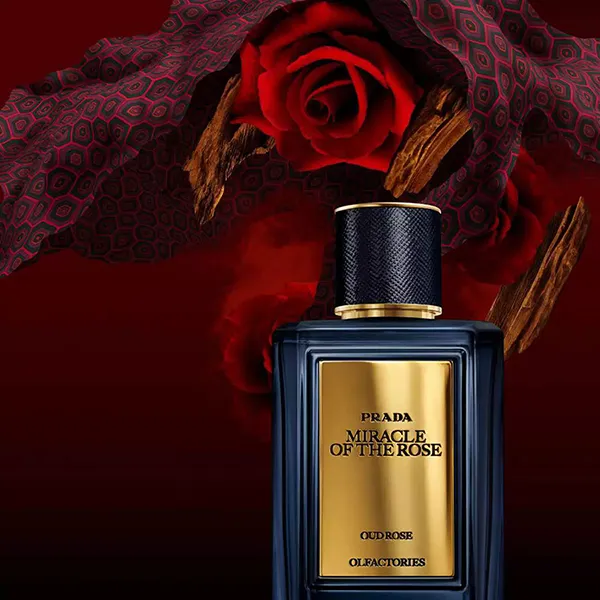 Nước Hoa Prada Miracle Of The Rose Eau De Parfum 100ml