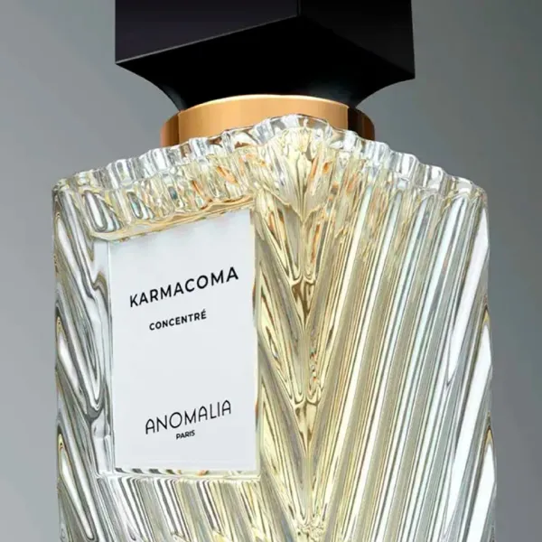 Nước Hoa Unisex Anomalia Paris Karmacoma Concentre EDP 70ml