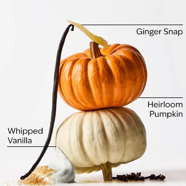 Sữa Dưỡng Thể Mềm Mịn, Lưu Hương Bath & Body Works Sweet Cinnamon Pumpkin Body Lotion 236ml