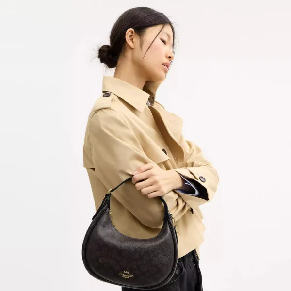 Túi Đeo Vai Nữ Coach Emily Shoulder Bag In Signature Canvas CDX17 Màu Đen