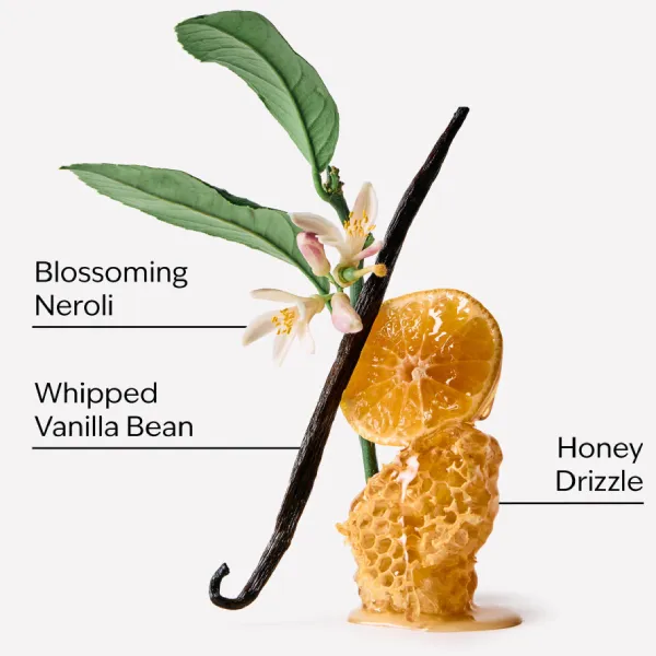 Xịt Thơm Hương Nước Hoa Bath & Body Works Whipped Honey & Vanilla Fine Fragrance Mist 236ml
