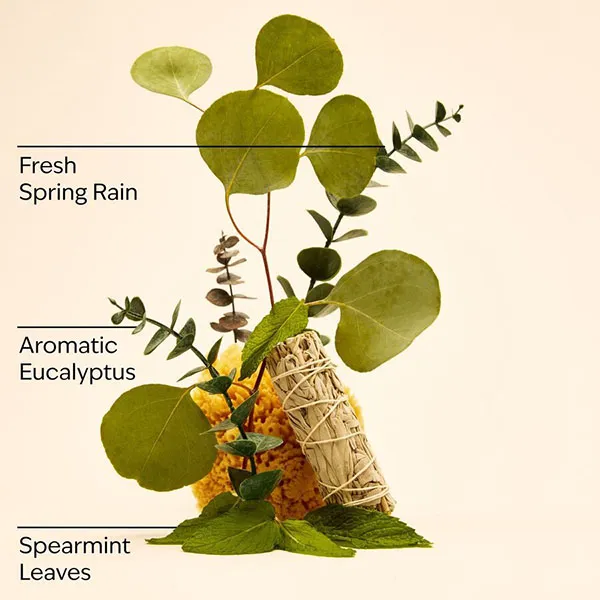 Sữa Tắm Bath & Body Works Stress Relief Eucalyptus Spearmint Aromatherapy Body Wash & Foam Bath 295ml