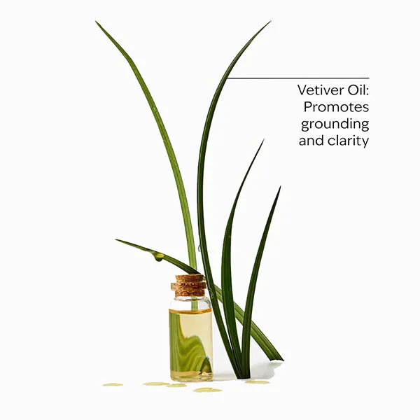 Sữa Tắm Bath & Body Works Vetiver Body Wash & Foam Bath 295ml