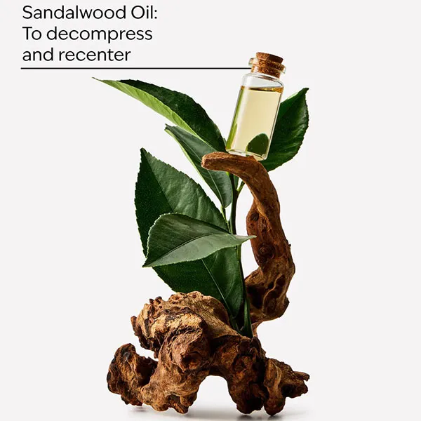 Sữa Tắm Bath & Body Works Sandalwood Body Wash & Foam Bath 295ml