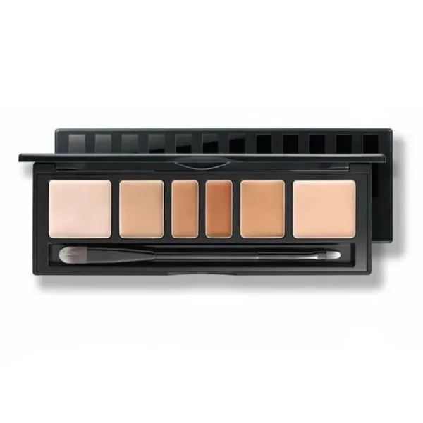 Bảng Che Khuyết Điểm Triệt Sắc Jung Saem Mool Artist Concealer Palette Tone Skin